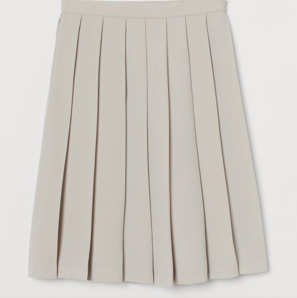H&M pleated skirt